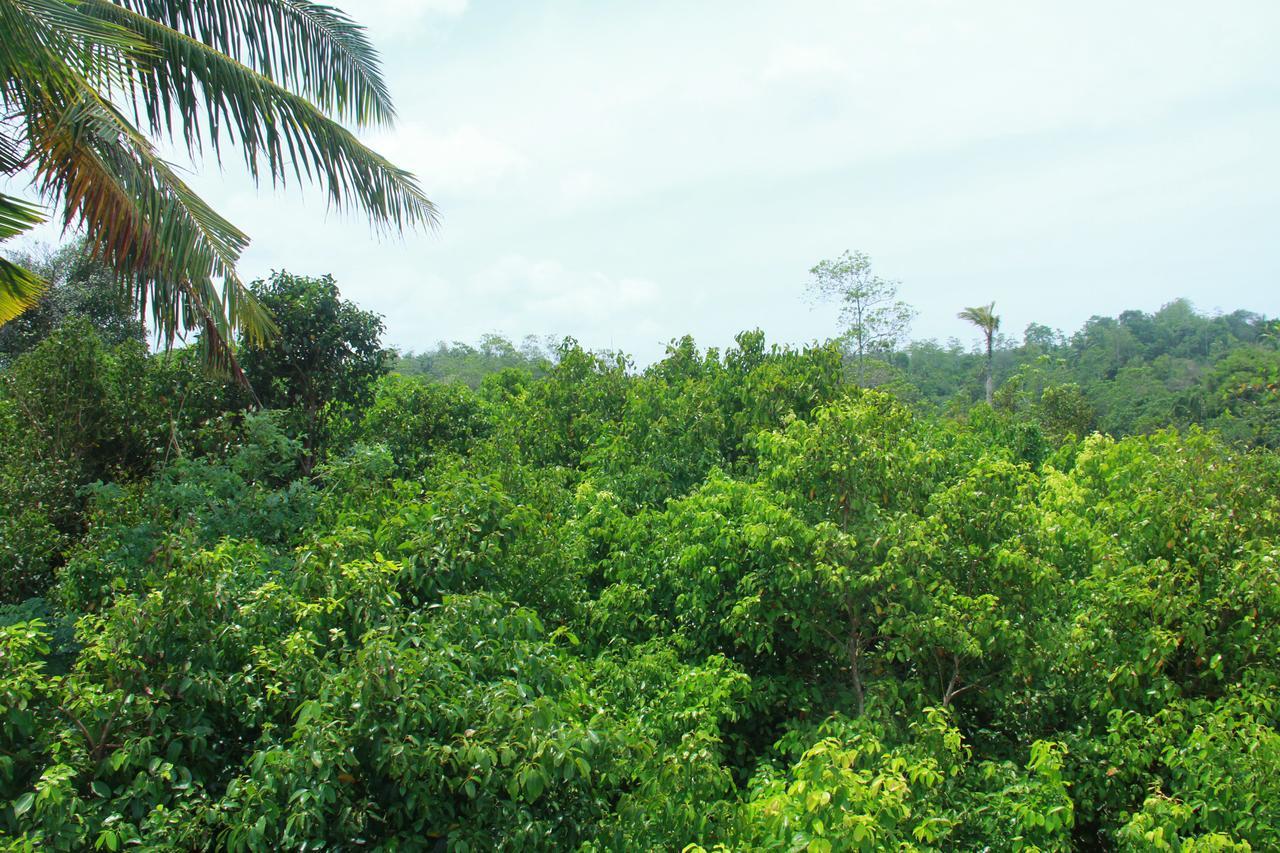 Villa Mirissa Eco Hills Extérieur photo